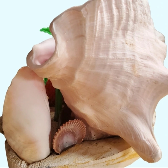 Vintage seashell diorama/TV lamp - Picture 7 of 9